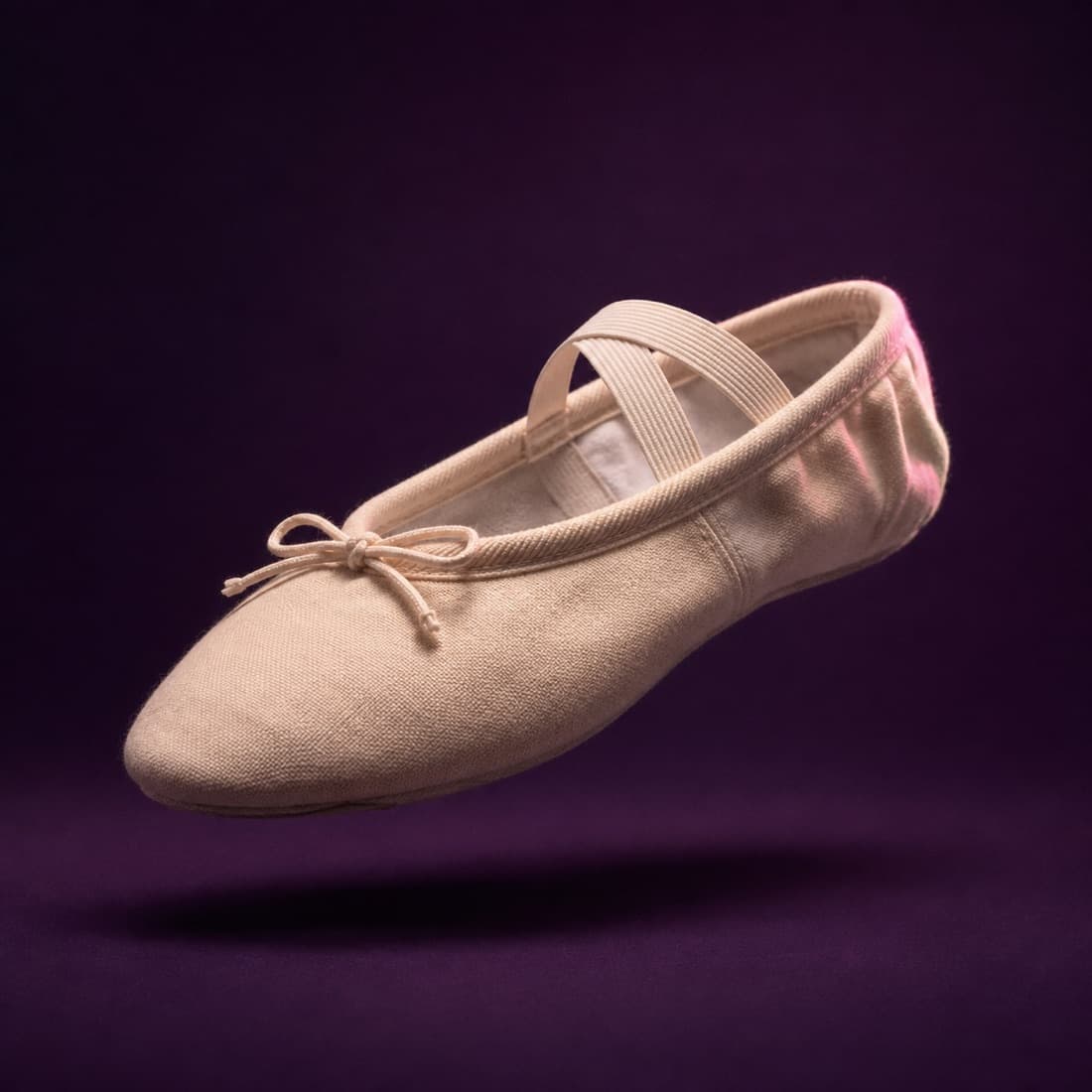 Ballet Canvas Full